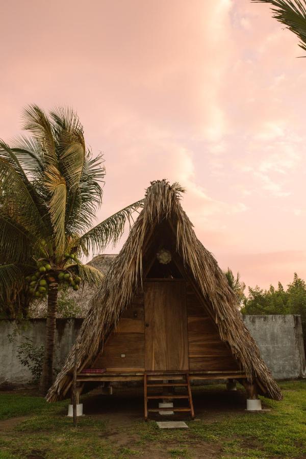 Hidden Wave Hotel El Paredon Buena Vista ภายนอก รูปภาพ