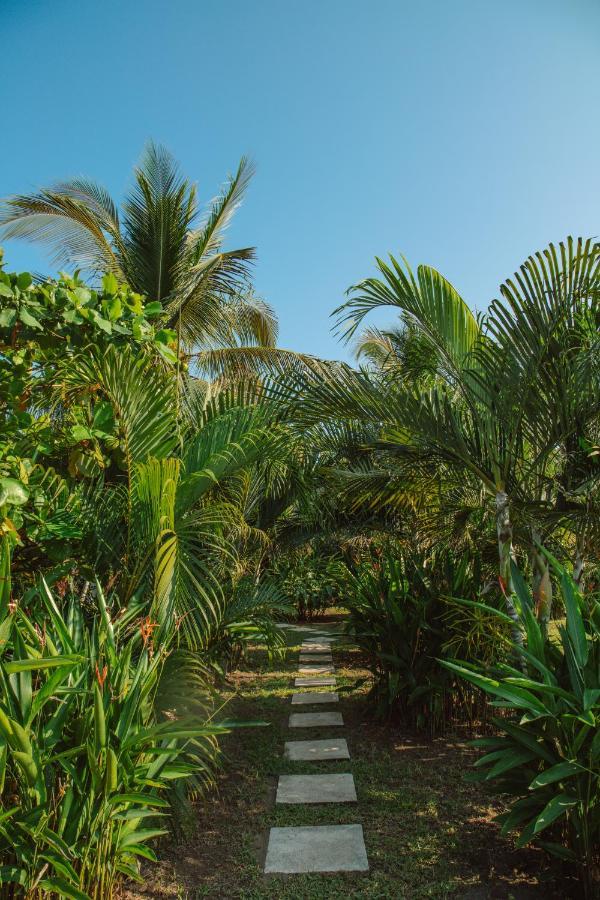 Hidden Wave Hotel El Paredon Buena Vista ภายนอก รูปภาพ