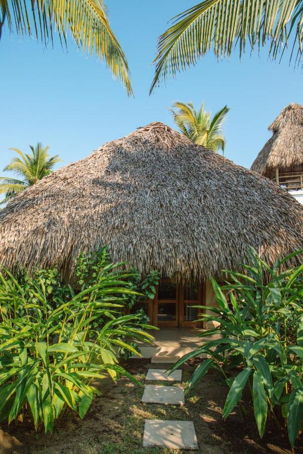 Hidden Wave Hotel El Paredon Buena Vista ภายนอก รูปภาพ