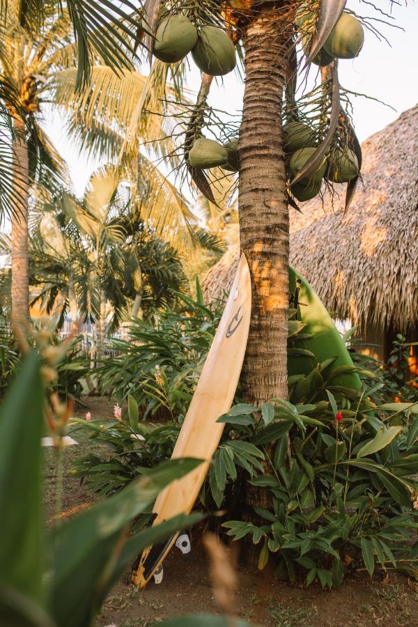 Hidden Wave Hotel El Paredon Buena Vista ภายนอก รูปภาพ